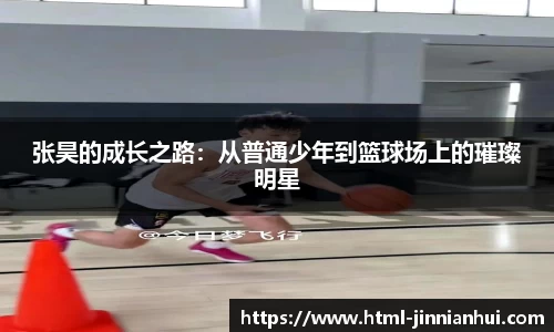 jinnianhui