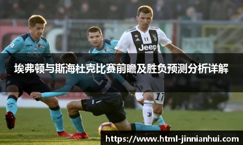 埃弗顿与斯海杜克比赛前瞻及胜负预测分析详解